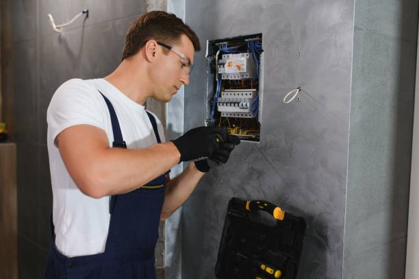 Best Electric Panel Repair  in Vadnais Heights, MN